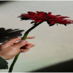 Self-Bullying to Self-Belief… The Power of Coaching