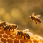 Bees, The Hive and the Human System: What Coaching Can Learn from Living Ecosystems