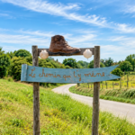 My Journey to Becoming a Certified Life Coach